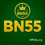 bn55 game